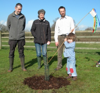 Diamond Jubilee Oak Tree