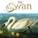 The Swan, Tytherington